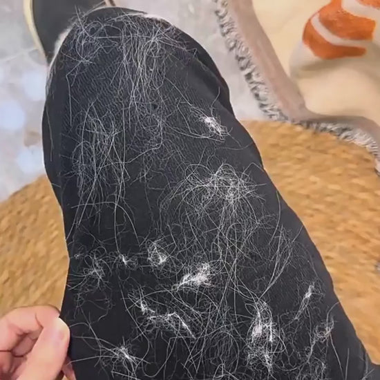 Person massaging dog's back with grooming glove